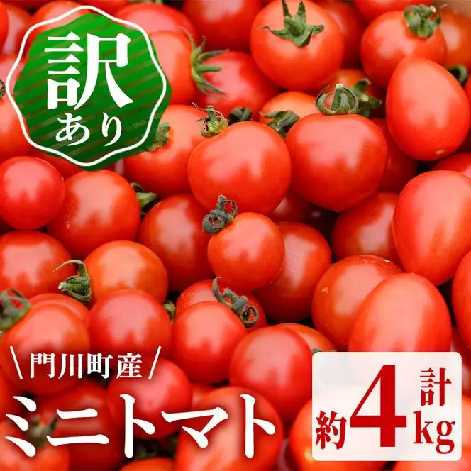 訳あり・規格外！数量限定の門川町産ミニトマト(計約4kg)フルーツトマト とまと 野菜 キャロルパッション 小鈴 プレミアムルビー アイコ ミックス 生 旬野菜 冷蔵【X-11】【いけとも農園】