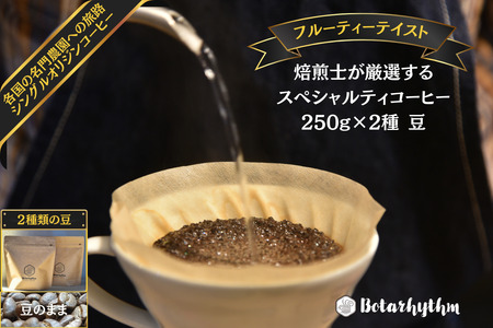 スペシャルティーコーヒー 【フルーティーテイスト】 250g×2種類【豆のまま】 mi0043-0010-1 珈琲 ｺｰﾋｰ 豆 ｾｯﾄ 焙煎