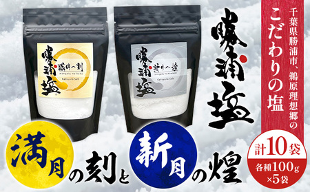 千葉県 勝浦市 満月の刻 100g と 新月の煌 100g 各5袋 セット 【配送不可地域あり】 《90日以内に出荷予定(土日祝除く)》 塩 勝浦塩 調味料