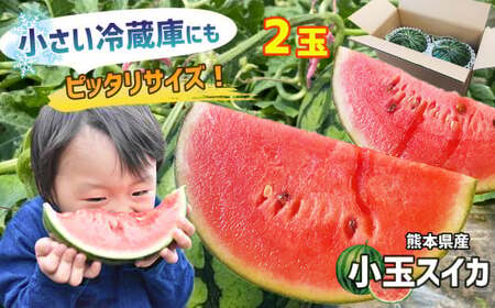 【4月～6月発送】 スイカ 王国 熊本 ！ 小玉 すいか 2玉 熊本県産 果物  西瓜 フルーツ | 果物 くだもの フルーツ スイカ 小玉 スイカ 熊本 玉名