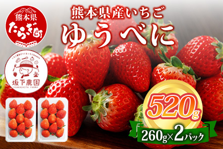 【4月20日まで】熊本県産 ゆうべに 約260g×2パック 4月終了 103-0001