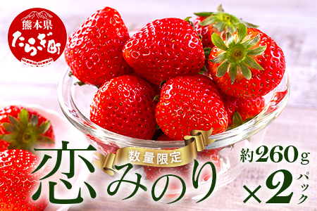 【先行予約】熊本県産いちご 恋みのり 約260g×2パック 103-0003