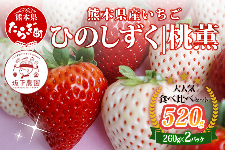 【先行予約】熊本県産いちご ひのしずく・白いちご 約260g×2パック 産地直送 国産 新鮮 フレッシュ 果物 苺 イチゴ フルーツ 103-0007