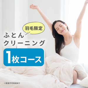 ふとんクリーニング 1枚 （羽毛限定） 