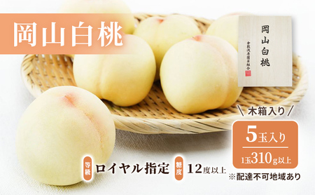 桃 2026年 先行予約 岡山 白桃 5玉（1玉310ｇ以上）等級：ロイヤル指定／糖度：12度以上 木箱入り
