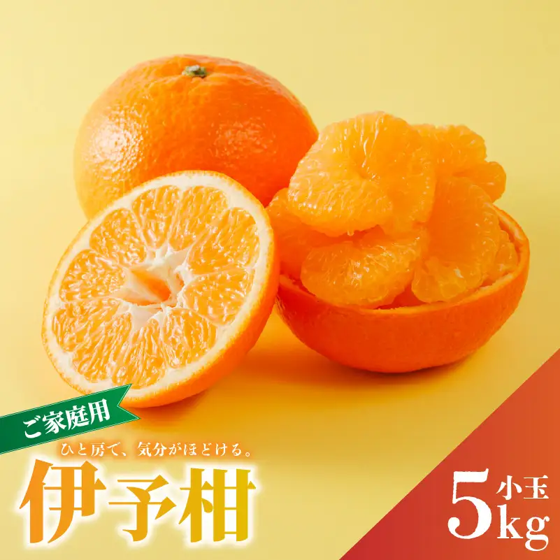 【2027年2月上旬から発送予定】 宮内伊予柑 家庭用 小玉 5kg サイズ混合 柑橘 みかん 果物 くだもの フルーツ おすすめ 人気 お取り寄せ グルメ ギフト 期間限定 数量限定 ご当地 愛媛県 松山市【RNK0103】