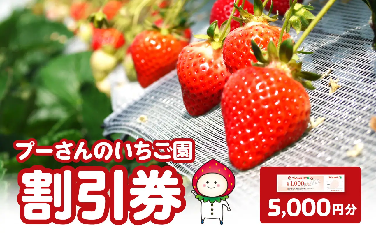 プーさんのいちご園　割引券（5,000円分） 【レターパック】イチゴ狩り あまおう 恋みのり 紅ほっぺ さがほのか かおり野 おいCベリー あまえくぼ よつぼし 高設栽培 多段式 バリアフリー 車椅子 子供 品種 完熟 摘みたて 新鮮 家族 清潔 福岡県 八女市 090-006