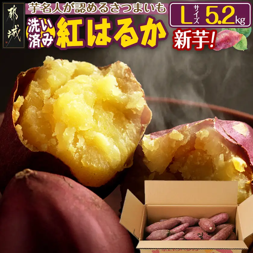 【新芋】芋名人が認めるさつまいも『洗い済み　紅はるか』5.2kg Lサイズ ※9月～11月頃順次発送〔LE-L702-N〕_(都城市) 宮崎県都城産 紅はるか Lサイズ