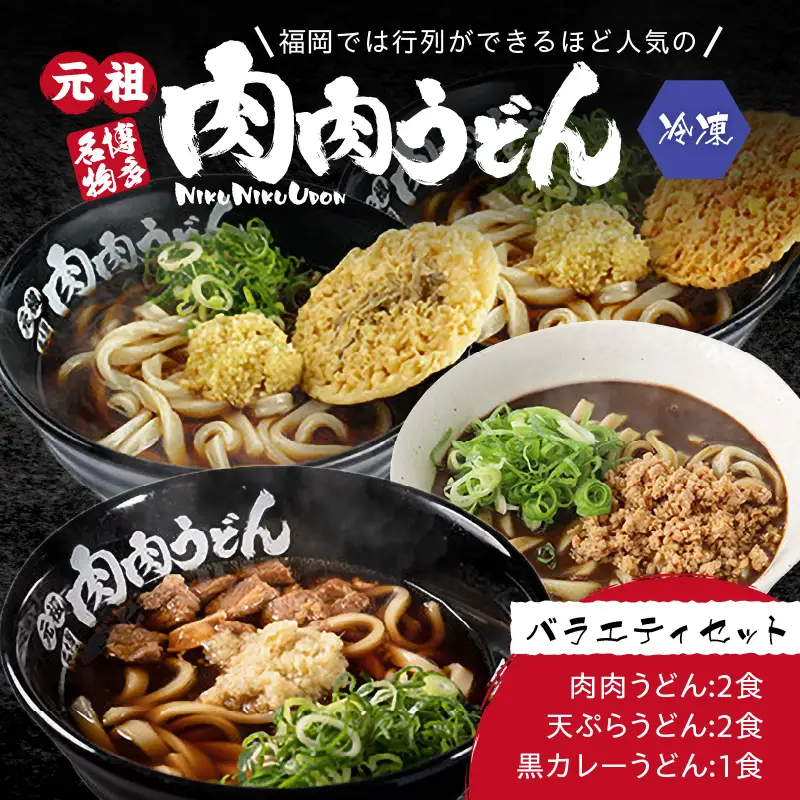 冷凍 肉肉うどん２食・天ぷらうどん２食・黒カレーうどん１食 バラエティセット【A5-460】