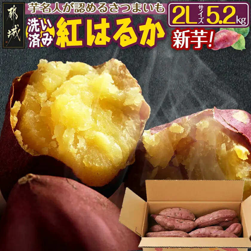 【新芋】芋名人が認めるさつまいも『洗い済み　紅はるか』5.2kg 2Lサイズ ※9月～11月頃順次発送〔LE-L703-N〕_(都城市) 宮崎県都城産 紅はるか 2Lサイズ