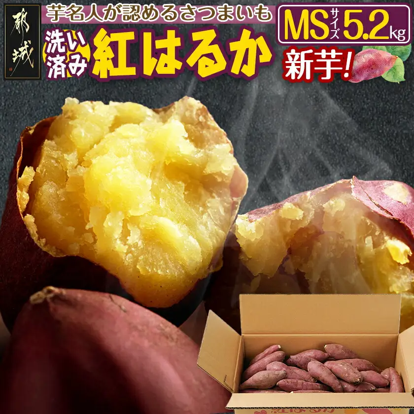 【新芋】芋名人が認めるさつまいも『洗い済み　紅はるか』5.2kg MSサイズ ※9月～11月頃順次発送〔LE-L704-N〕_(都城市) 宮崎県都城産 紅はるか MSサイズ