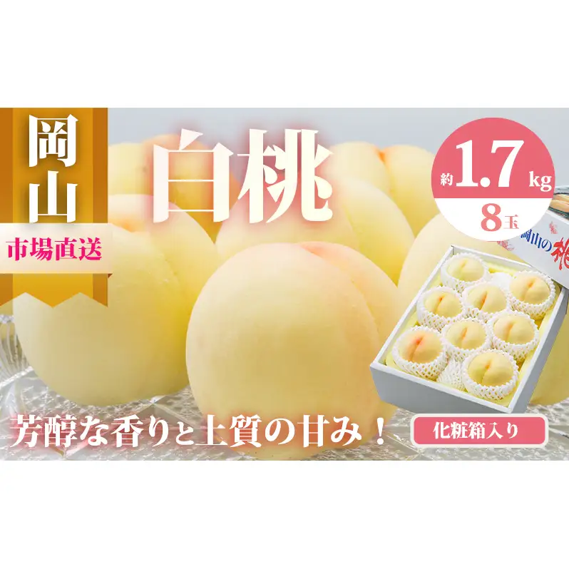 桃 2026年 先行予約 岡山 の 白桃 8玉（合計1.7kg以上）化粧箱入り もも モモ 岡山県産 国産 フルーツ 果物 ギフト 
