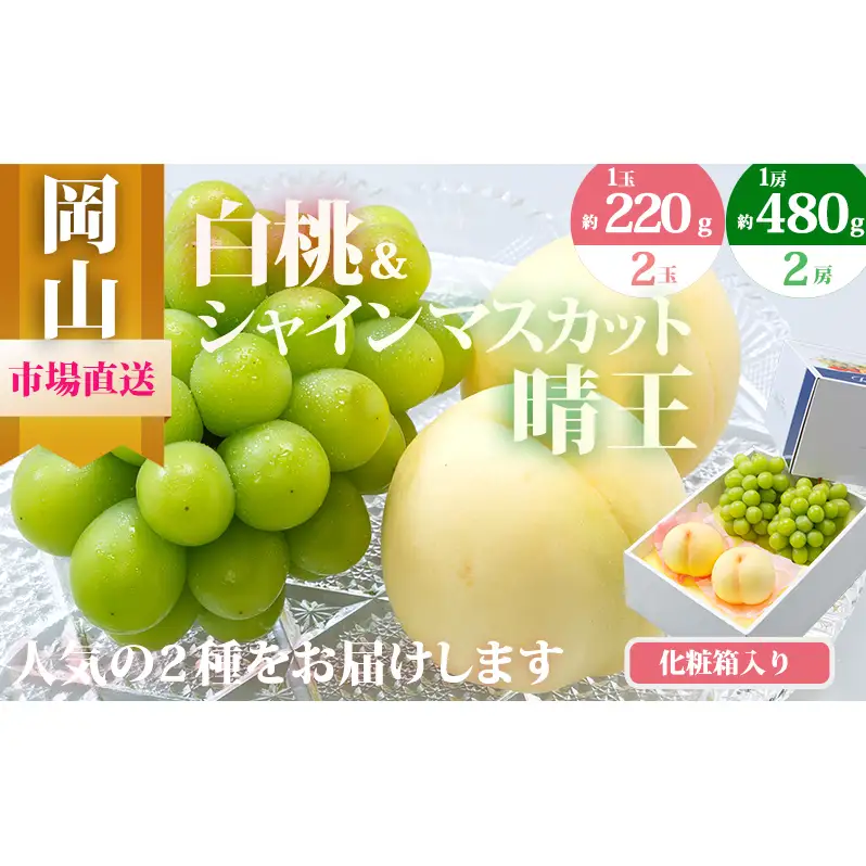 桃 ぶどう 2026年 先行予約 果物 詰合せ 白桃 2玉（1玉220g以上）シャインマスカット 晴王 2房（1房480g以上）化粧箱入り もも 葡萄 岡山県産 国産 フルーツ 果物 ギフト 