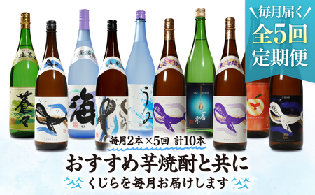 2346 【 全5回定期便 】大海酒造 本格焼酎 芋焼酎 くじら 毎月配送 1800ml×2本 計10本 KN034-T01 酒 焼酎