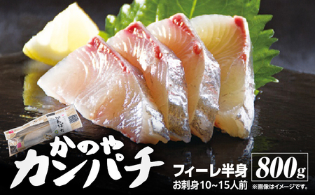 1-1 かのや カンパチフィーレ KN001-002 魚 カンパチ