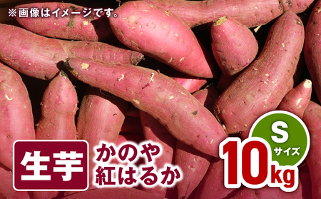 1672 かのや紅はるか 生芋 Sサイズ 10kg KN011-001 菓子 さつまいも 野菜