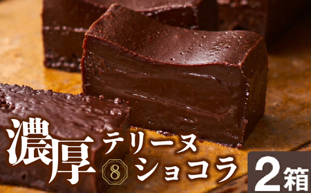 2027 オクタス テリーヌ ショコラ 2箱（ 280g × 2本 ） KN021-026-02 菓子 チョコレート ケーキ