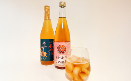 2153 梅酒 本格焼酎 仕込み 飲み比べ 720ml × 2本 KN046-006 酒 焼酎