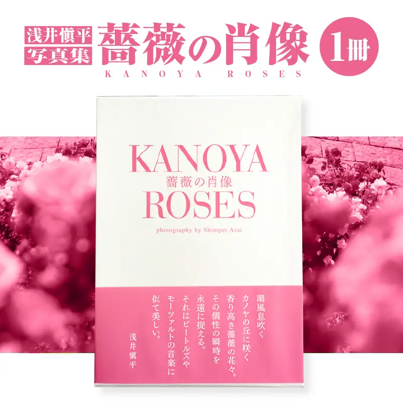 1031 浅井愼平 写真集 薔薇 の 肖像 KANOYA ROSES KN002-001 本