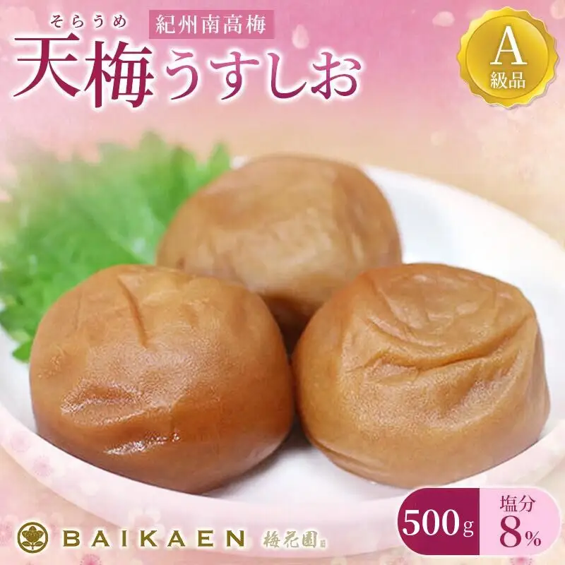 紀州南高梅 天梅(そらうめ)うすしお 500g 塩分約8％ A級品 大粒5Lサイズ / 梅干し 梅干 うめぼし 南高梅 国産 梅 うめ ウメ 健康 ご飯のお供 和歌山県 田辺市 【bik004】