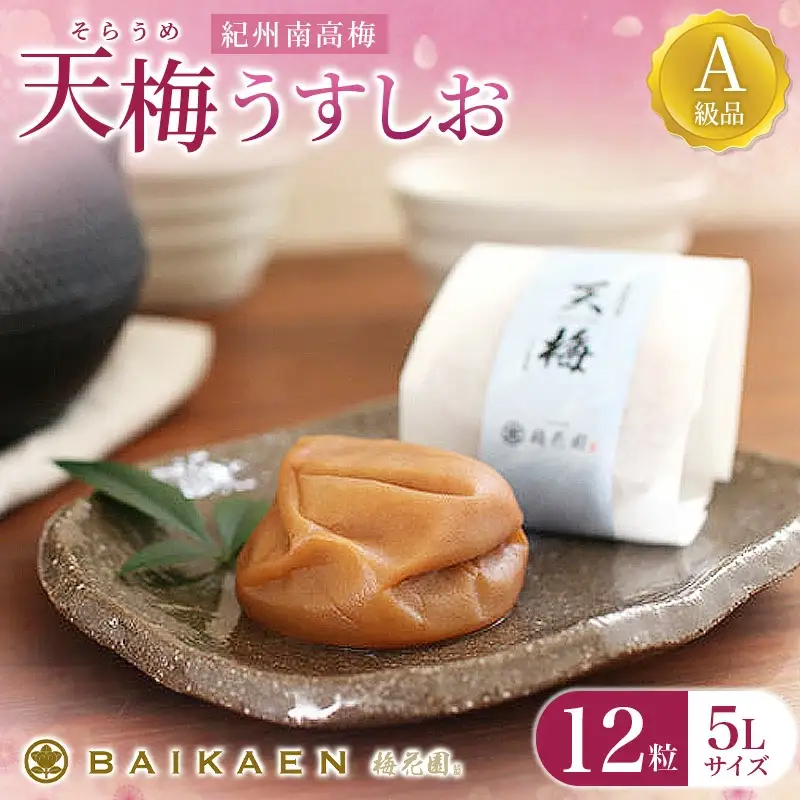紀州南高梅 天梅(そらうめ)うすしお 12粒 個包装 塩分約8％ A級品 大粒5Lサイズ 木箱入り / 梅干し 梅干 うめぼし 南高梅 国産 梅 うめ ウメ 健康 ご飯のお供 贈答 贈り物 和歌山県 田辺市 【bik008】