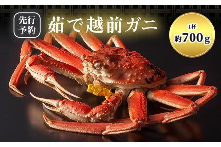 かに 期間限定 茹で 越前がに 約700g以上 1杯 ずわい蟹 ボイルカニ ボイル 魚介類