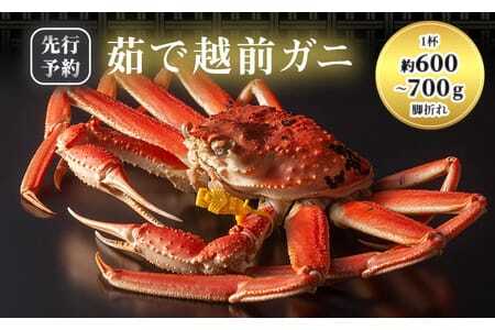 かに 訳あり 期間限定 茹で 越前ガニ 約600g～700g未満1杯 ボイルカニ ボイル 魚介類