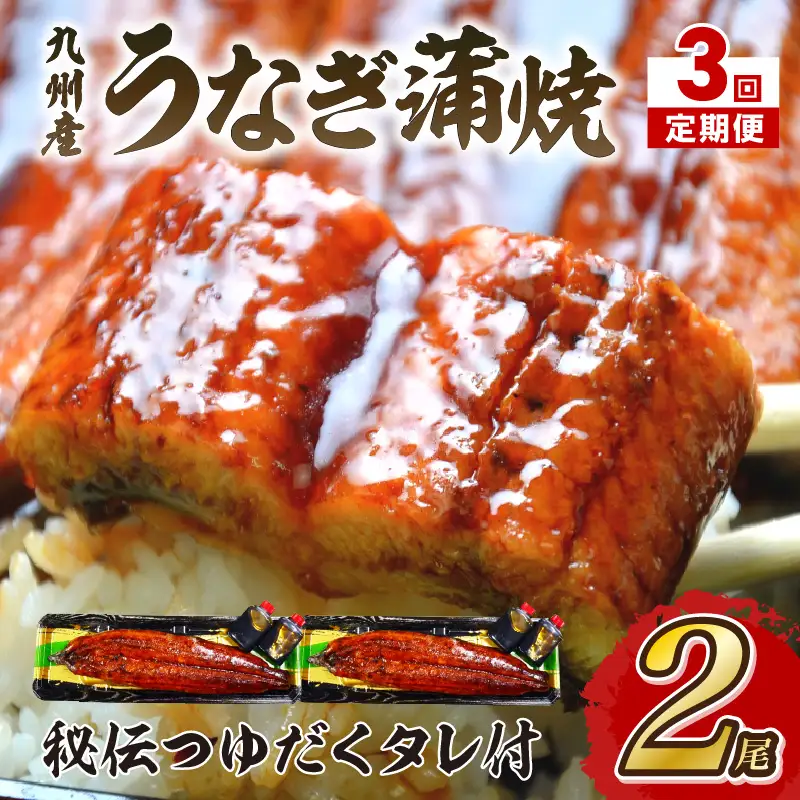 【3回定期便】九州産うなぎ蒲焼2尾　秘伝つゆだくタレ付【001-0383】