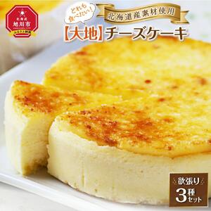 どれも食べたい！「北海道産素材使用」【大地】チーズケーキ欲張り3種セット チーズケーキ_00184