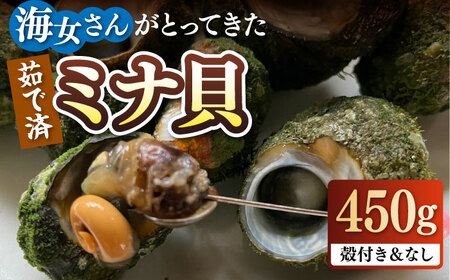 ボイル ミナ貝 450g（殻付き300g・殻剥き150g）《壱岐市》【鈴の海庭】 貝 魚貝 海産物 ボイル 刺身 小分け おつまみ サザエ ニナ貝 シッタカ [JFV001]