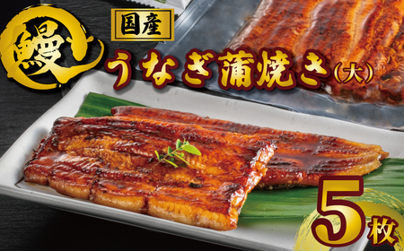 鰻蒲焼 大 5枚 鰻