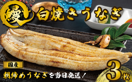 うなぎ 焼きたて 白焼うなぎ 3枚