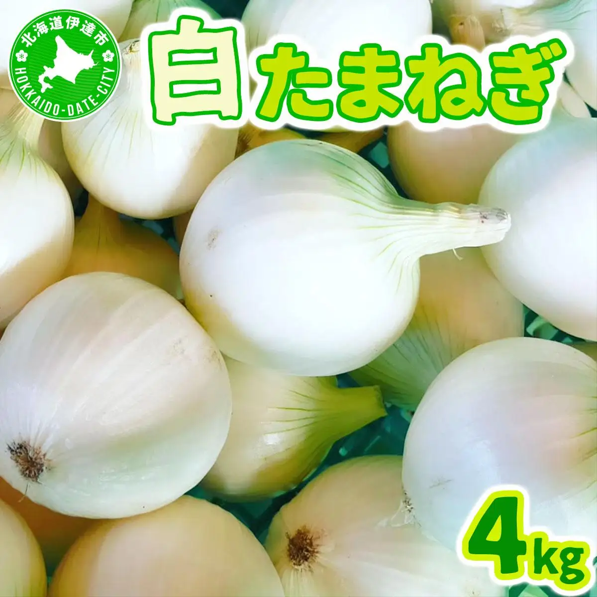 【2026年6月中旬発送】白玉ねぎ 4kg 北海道 伊達産 タマネギ 玉葱 サラダ [famy-002]