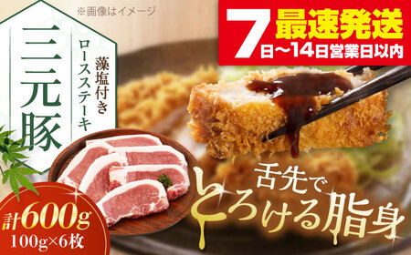 平田牧場 ロース ステーキ 600g  (100g×6枚) ※藻塩付  豚肉 とんかつ 生姜焼き[AJAP003]
