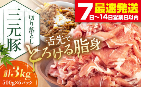平田牧場 切り落とし 3kg (500g×6P) 豚肉 切り落とし 小分け [AJAP007]
