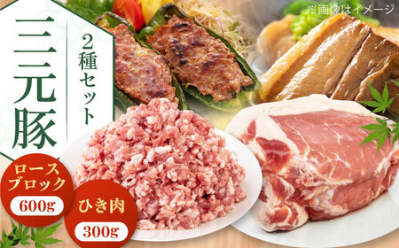 平田牧場 豚肉 2種セット 豚肉 詰め合わせ セット [AJAP008]