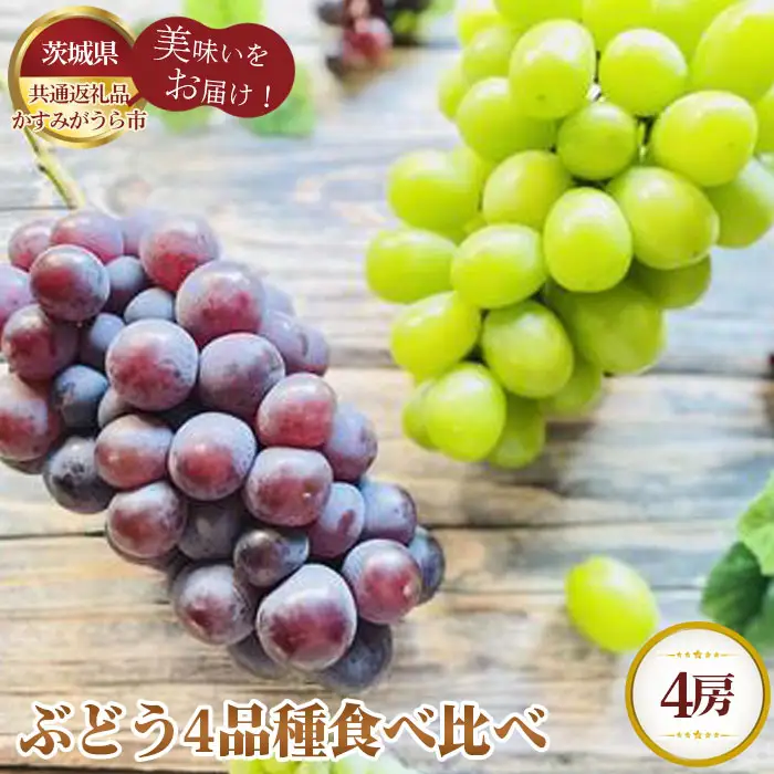 【先行予約】ぶどう4品種食べ比べ【茨城県共通返礼品 かすみがうら市】 No.605