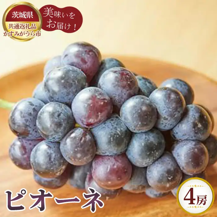 【先行予約】お中元　ピオーネ　4房【茨城県共通返礼品 かすみがうら市】 No.613