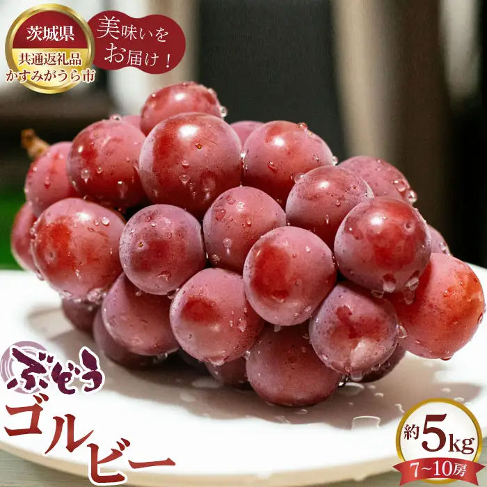 【先行予約】ぶどう　ゴルビー　約5kg（7～10房）【茨城県共通返礼品 かすみがうら市】 No.618