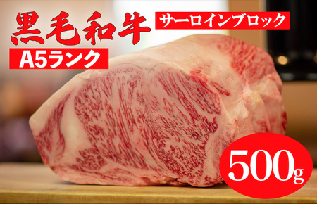黒毛和牛 A5ランク サーロインブロック 500g 冷蔵 国産牛 ステーキ ブロック肉 BBQ