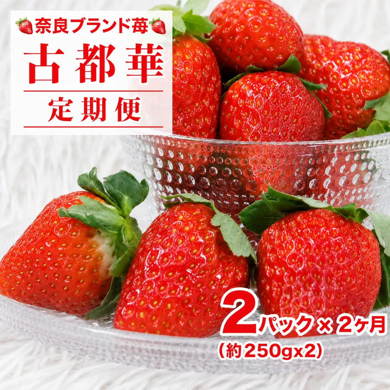 【先行予約】【定期便 2回】いちご 古都華 250g×２パック 定期 ことか 人気 奈良
