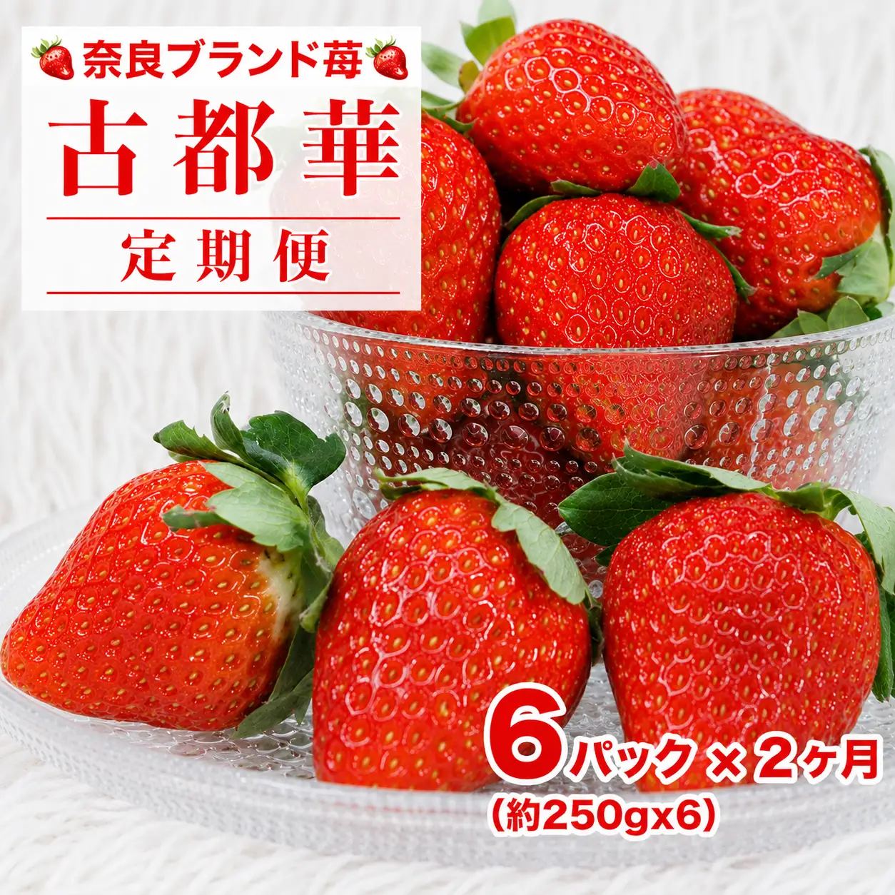 【先行予約】【定期便 2回】 いちご 古都華 250g×6パック ことか 定期 人気 奈良