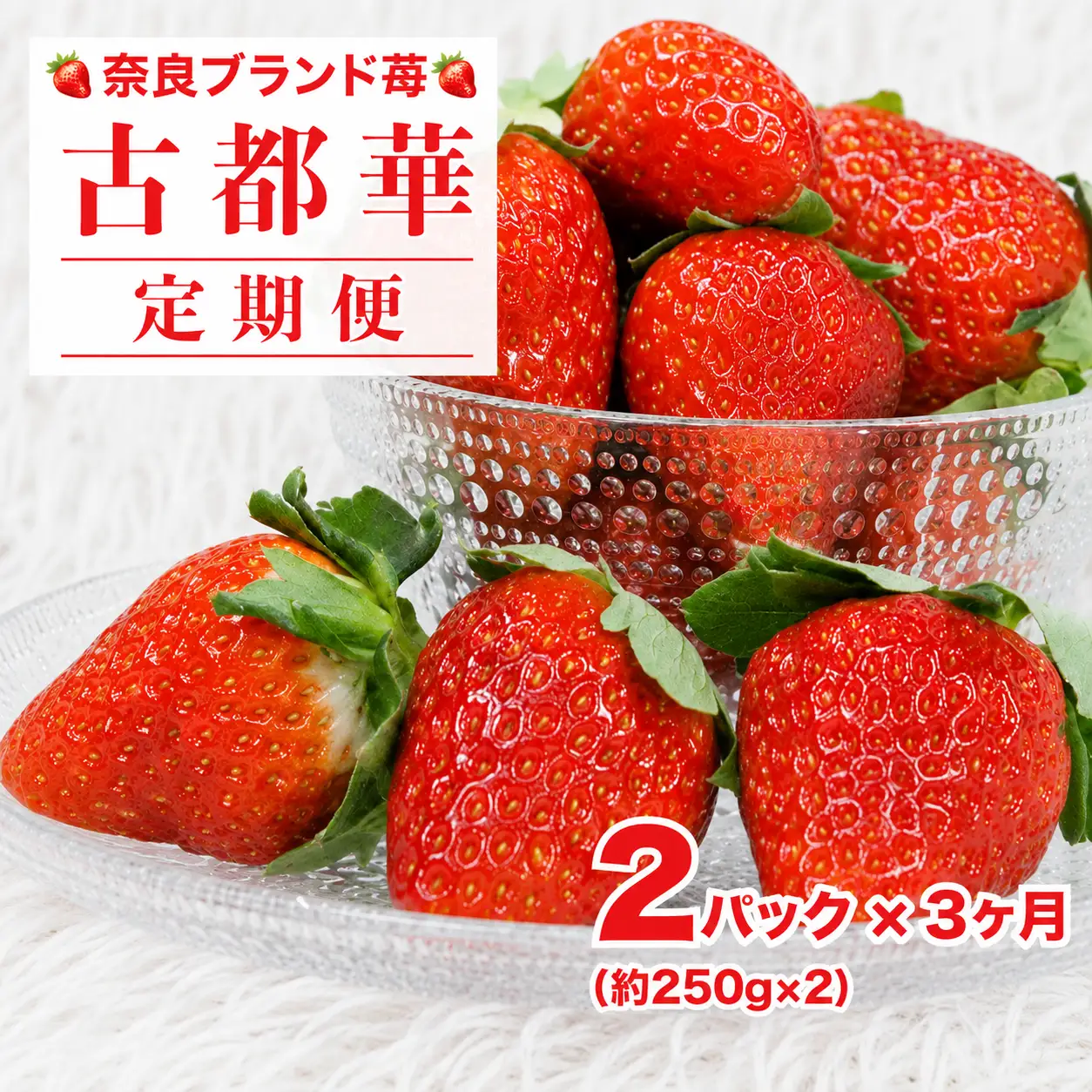 【先行予約】【定期便 3回】いちご 古都華 250g×２パック 定期 ことか 人気 奈良