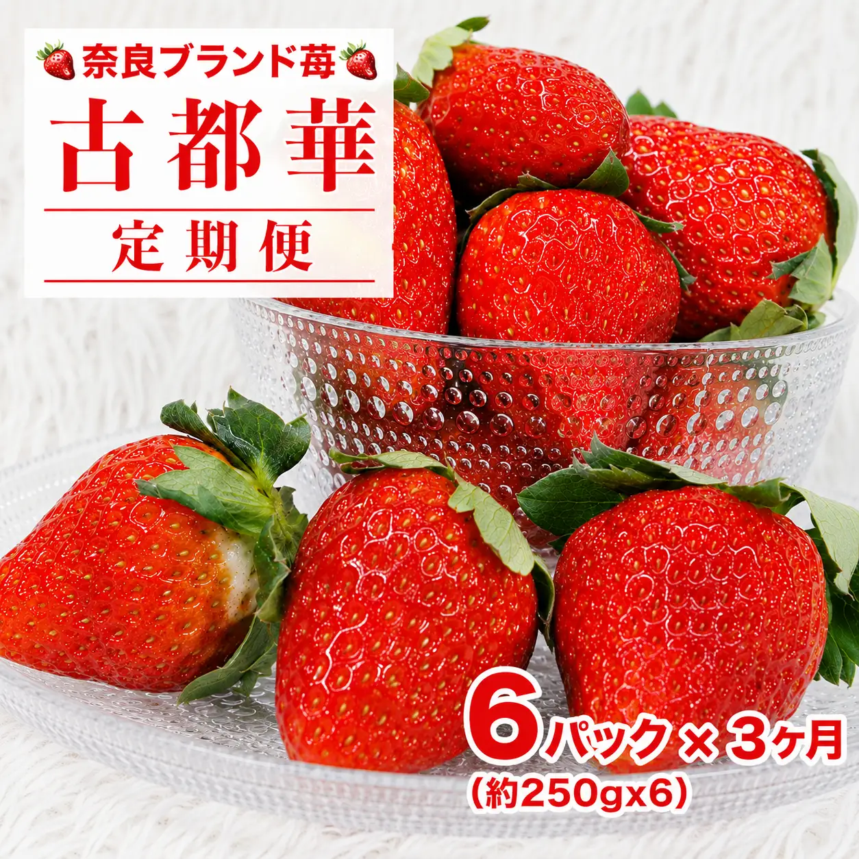 【先行予約】【定期便 3回】 いちご 古都華 250g×6パック ことか 定期 人気 奈良