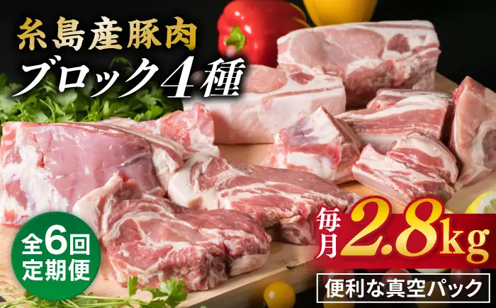 【全6回定期便】【盛り合わせ】 糸島産豚肉 ブロック 肉4品盛合せセット 約2.8kg 糸島市/糸島ミートデリ工房 [ACA279]