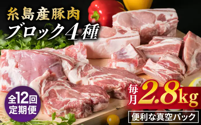 【全12回定期便】【盛り合わせ】 糸島産豚肉 ブロック肉4品盛合せセット 約2.8kg 糸島市/糸島ミートデリ工房 [ACA280]