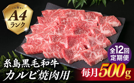 【全12回定期便】【焼肉用】A4ランク 糸島 黒毛和牛 カルビ 500g 糸島市/糸島ミートデリ工房 [ACA295]