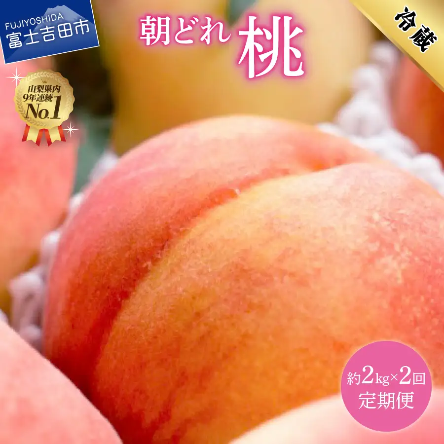 朝どれ桃 2kg×2回定期便 （白鳳系・白桃系） 【2026年発送】定期便