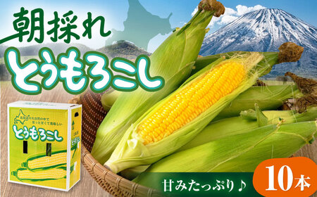 【先行予約】朝採れ とうもろこし 10本 《喜茂別町》【ニセコビュープラザ直売会協同組合】とうもろこし  [AJAH025]