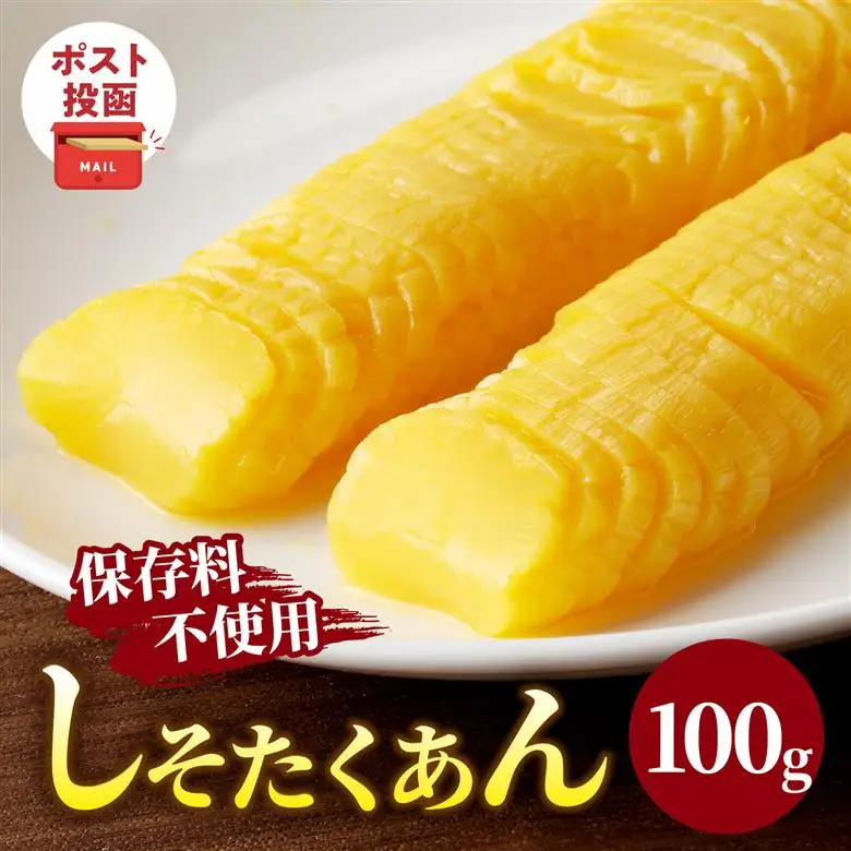 ＼ポスト投函／しそたくあん100g 漬物 おかず 野菜 加工品 国産_T037-0035